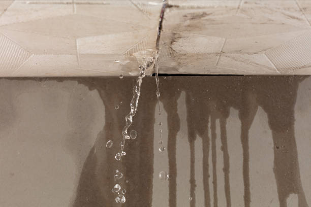 Professional Structural Drying technician working in Carroll, OH